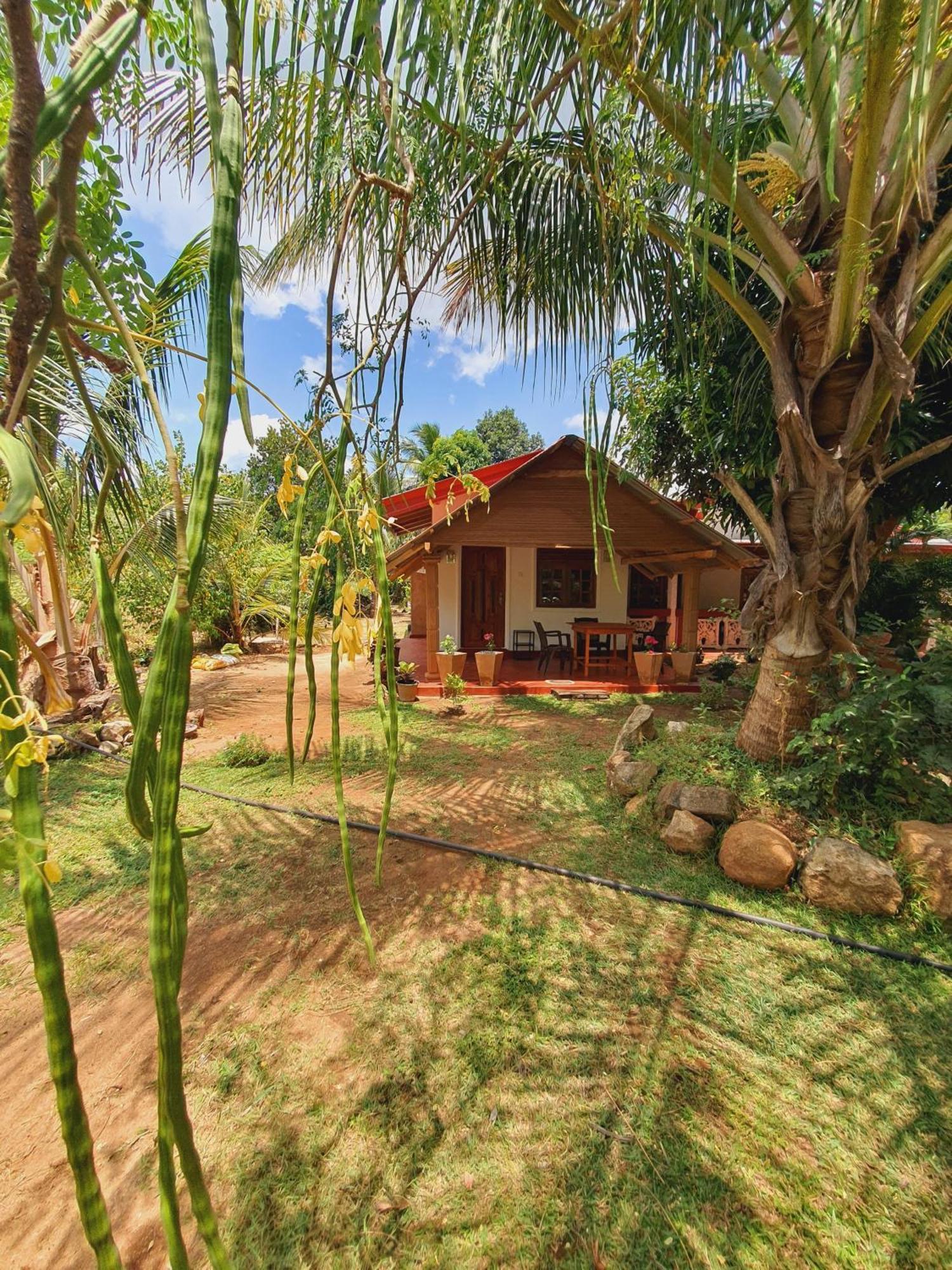 Jungle Eco Lodge & Safari Сигирия Экстерьер фото