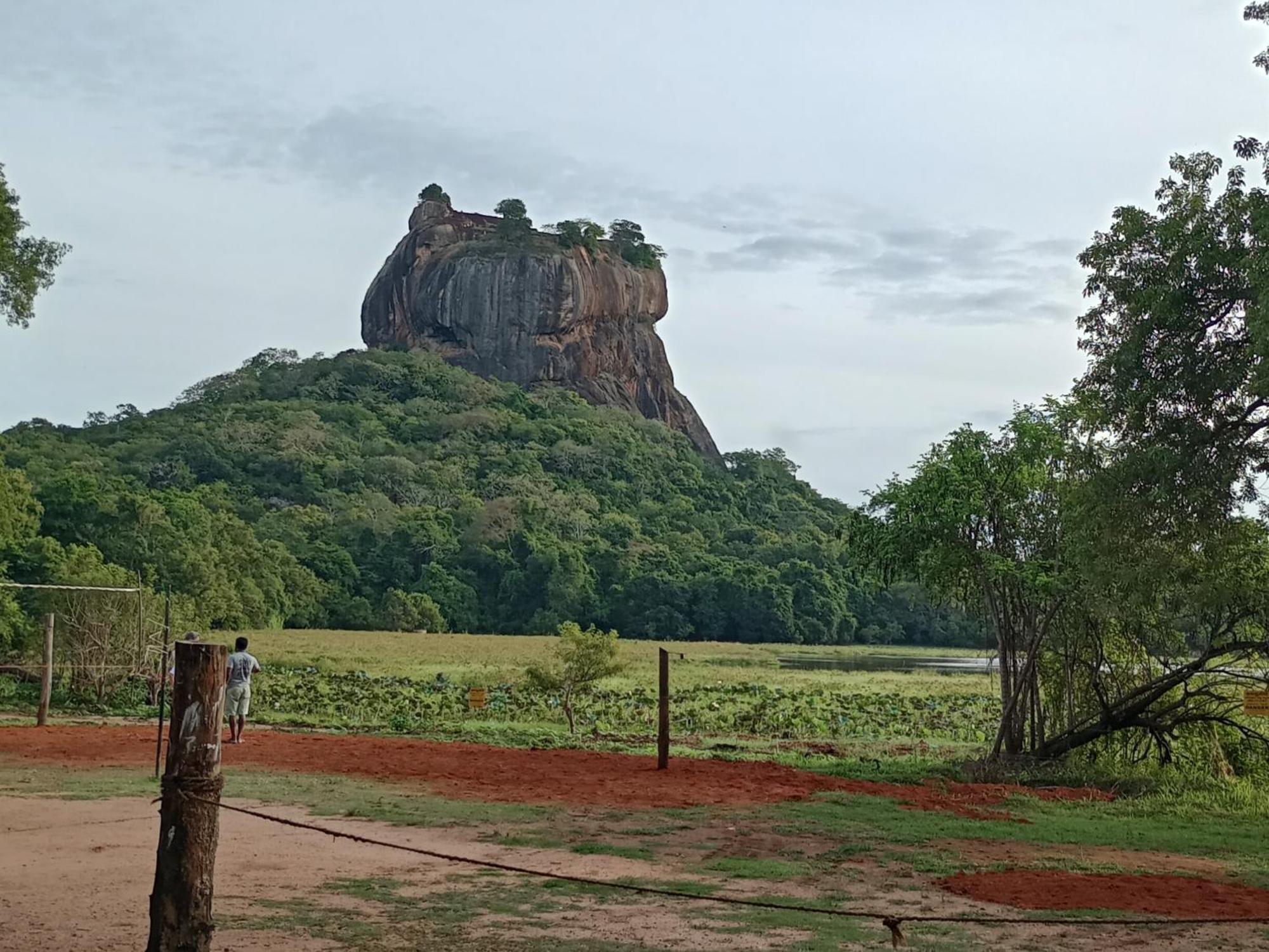 Jungle Eco Lodge & Safari Сигирия Экстерьер фото