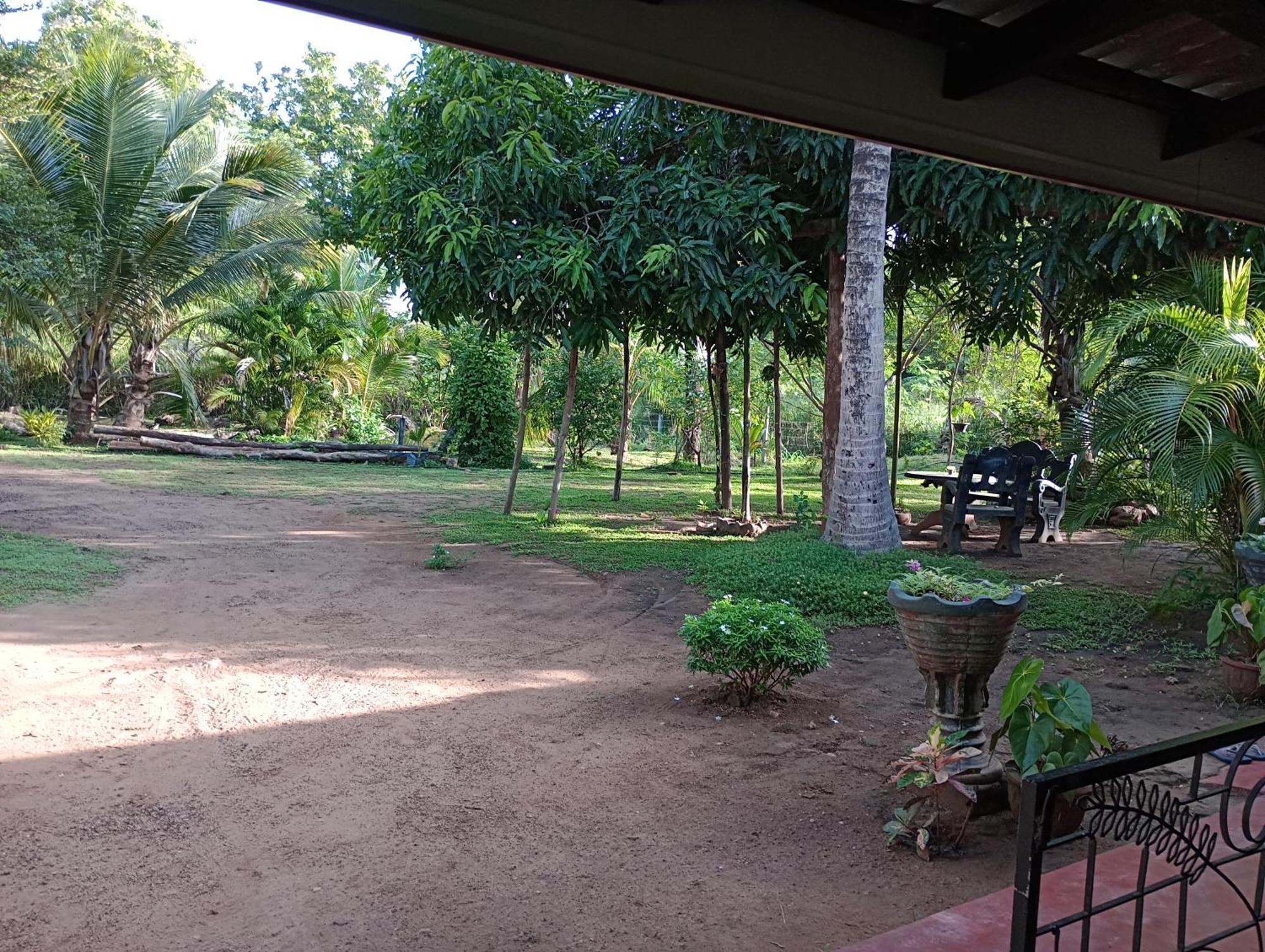 Jungle Eco Lodge & Safari Сигирия Экстерьер фото