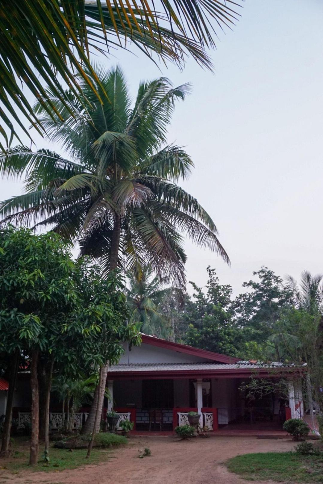 Jungle Eco Lodge & Safari Сигирия Экстерьер фото